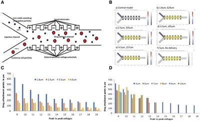 A di-electrophoretic simulation procedure of iron-oxide micro-particle drug attachment system for leukemia treatment using COMSOL software: a potential treatment reference for LMICs